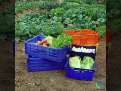 27L hafif katlanabilir sandık kutu sebze meyve dönüştürme örgü sandığı